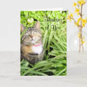Cat Thinking Your Card Karte (Gelbe Blume)