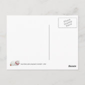 Cat Time Postcard Postkarte (Rückseite)