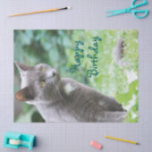 Cat Tissue Seidenpapier (Basteln)