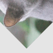 Cat Tissue Seidenpapier (Detail)