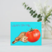 Cat & Tomato Postcard / 猫&トマト ポストカード Postkarte (Stehend Vorderseite)