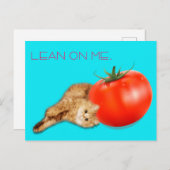 Cat & Tomato Postcard / 猫&トマト ポストカード Postkarte (Vorne/Hinten)