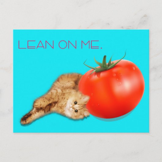 Cat & Tomato Postcard / 猫&トマト ポストカード Postkarte (Vorderseite)
