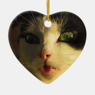 Cat Tongue Keramikornament