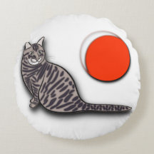 Cat trifft den Vollmond