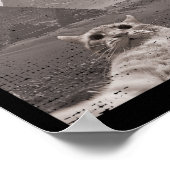Cat Ufo Meme - Funny Cat Selfie with Ufos Poster (Ecke)
