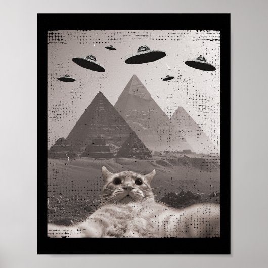 Cat Ufo Meme - Funny Cat Selfie with Ufos Poster (Vorne)