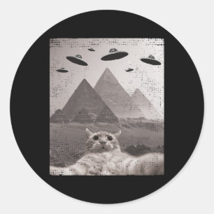Cat Ufo Meme - Funny Cat Selfie with Ufos Runder Aufkleber