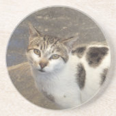 Cat Untersetzer (Vorne)
