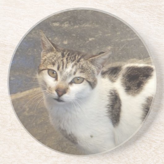 Cat Untersetzer (Vorne)