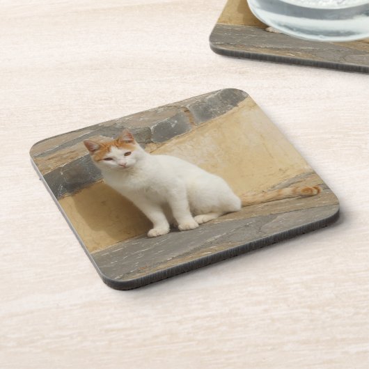 Cat-Untersetzer Getränkeuntersetzer (Linke Seite)