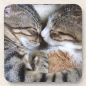 Cat-Untersetzer Getränkeuntersetzer (Vorderseite)