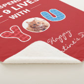 Cat Valentinstag Pet Foto Sherpadecke (3/4)