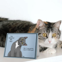 Cat Vater Adoption Vatertag