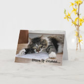 Cat Vatertagskarte umarmt Karte (Gelbe Blume)