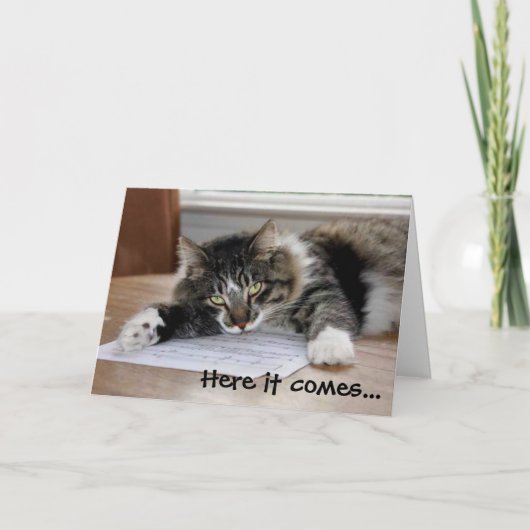 Cat Vatertagskarte umarmt Karte (Vorderseite)