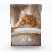 Cat Vertikales Portrait Foto Niedlicher Schriftart (Vorderseite)