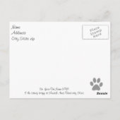 Cat Veterinary Beileid Postkarte (Rückseite)