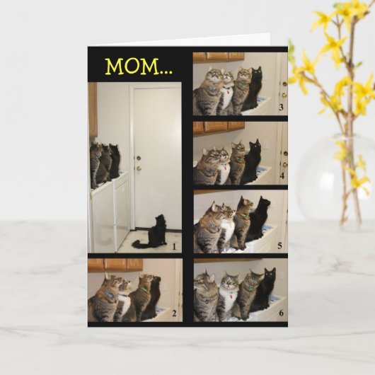 Cat vs Fly Mother's Day Card Karte (Gelbe Blume)
