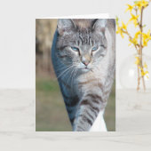 Cat Walk Karte (Gelbe Blume)