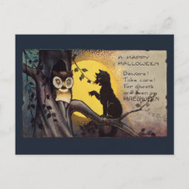 Cat Warning Owl Vintage Halloween Postcard Postkarte