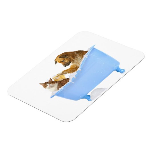 Cat Wash Magnet (Linke Seite)