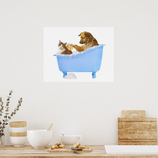 Cat- Wash Poster (Küche)