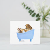Cat Wash Postkarte (Stehend Vorderseite)