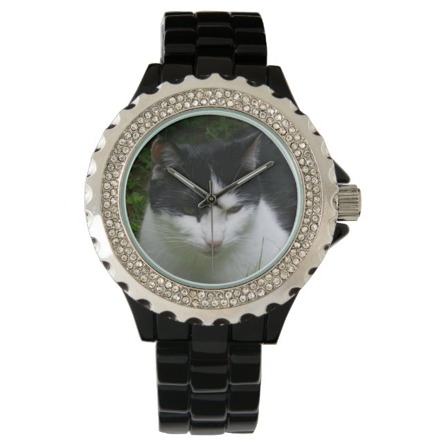 Cat Watch Armbanduhr (Vorderseite)