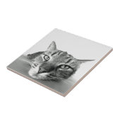 Cat Watching Tile Fliese (Seite)