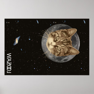 Cat Wazool Poster