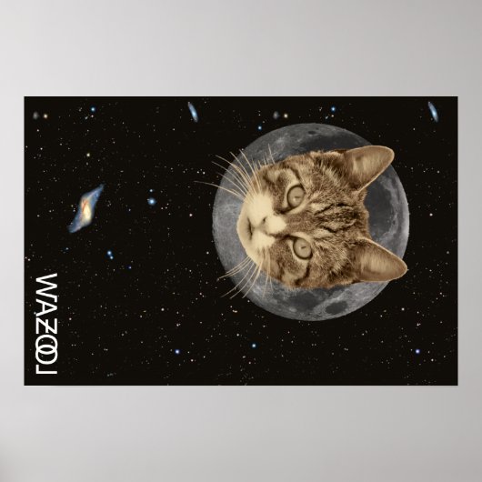Cat Wazool Poster (Vorne)