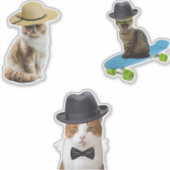 Cat Wear Hat Aufkleber (Vorderseite)