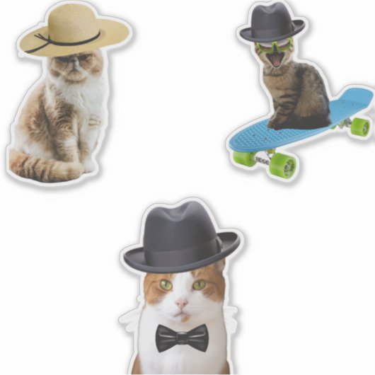 Cat Wear Hat Aufkleber (Vorderseite)