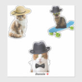 Cat Wear Hat Aufkleber (Blatt)