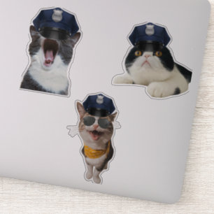 Cat Wear Polizisten Hut Aufkleber