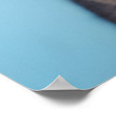 Cat Wearing Glasses Poster (Ecke)