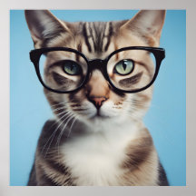 Cat Wearing Glasses