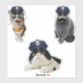 Cat Wearing-Sonnenbrille Aufkleber (Blatt)