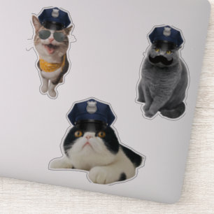 Cat Wearing-Sonnenbrille Aufkleber