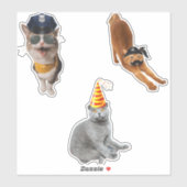 Cat Wearing-Sonnenbrille Aufkleber (Blatt)