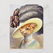 Cat Weather Feather hat Postkarte (Vorderseite)