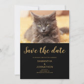 Cat Wedding Foto Flat Save the Date Card (Vorderseite)