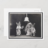 Cat Wedding Vintag Oddity Postcard Postkarte (Vorne/Hinten)