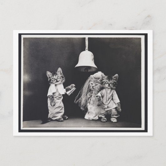 Cat Wedding Vintag Oddity Postcard Postkarte (Vorderseite)