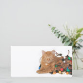 Cat Weihnachtslicht Feiertagskarte (Stehend Vorderseite)