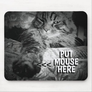 Cat will Ihre Maus Meme Mouse Pad Mousepad