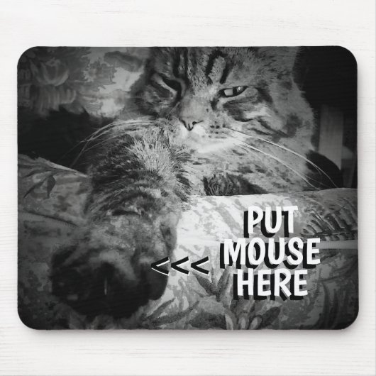 Cat will Ihre Maus Meme Mouse Pad Mousepad (Vorne)