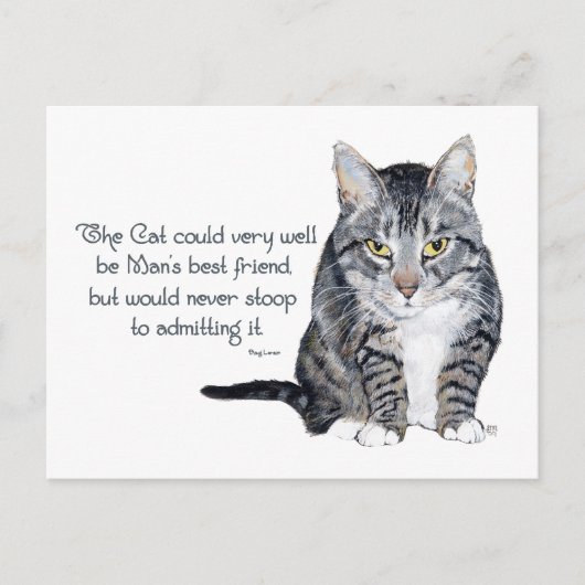 Cat Wisdom - und Freundschaft Postkarte (Vorderseite)