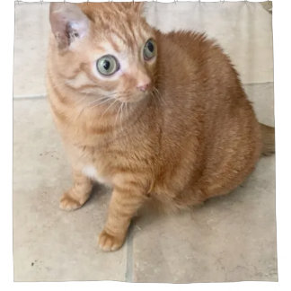Cat With Big Eyes Shower Curtain Duschvorhang